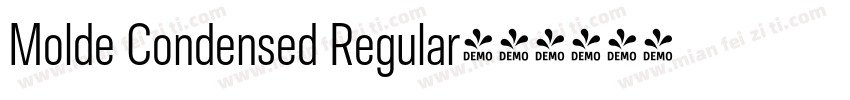 Molde Condensed Regular字体转换